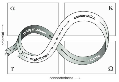 1. Diagram of the adaptive cycle, also known as panarchy. Source:... | Download Scientific Diagram