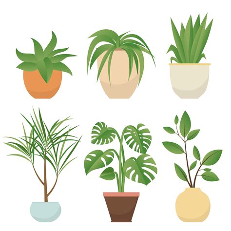 Set of potted plants 1394969 Vector Art at Vecteezy