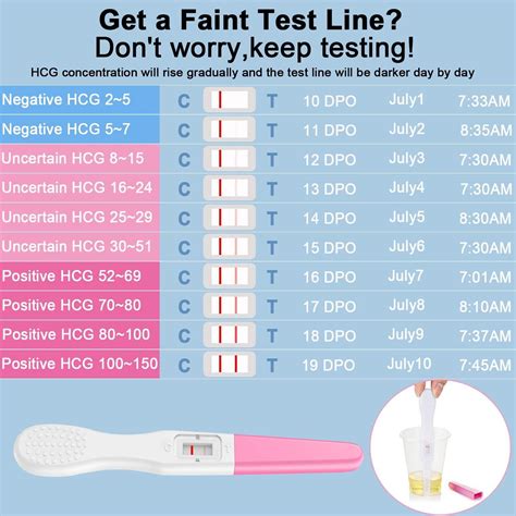 Docalon Early Pregnancy Test Kit - 2 Clear & Accurate At-Home Tests - Individually Sealed for ...