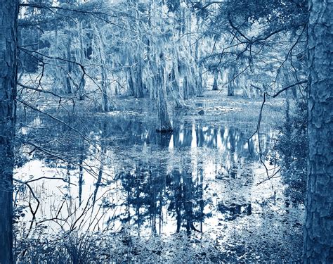 Blue Bayou | YOJIRO IMASAKA