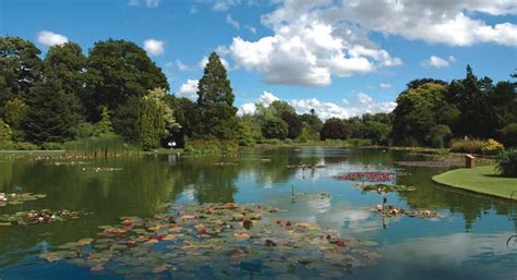 Burnby Hall Gardens, Pocklington ⋆ Yorkshire Wonders