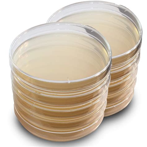 Prepoured LB Agar Plates - General Purpose Media - Science Fair Project ...