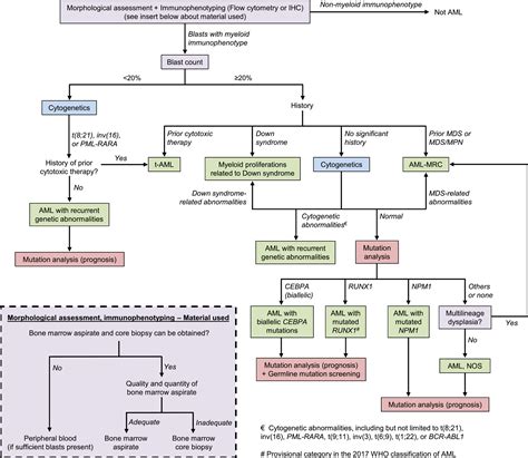 How I investigate acute myeloid leukemia - Narayanan - 2020 ...