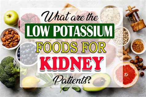 What are the low potassium foods for kidney patients? | Potassium foods, Low potassium recipes ...