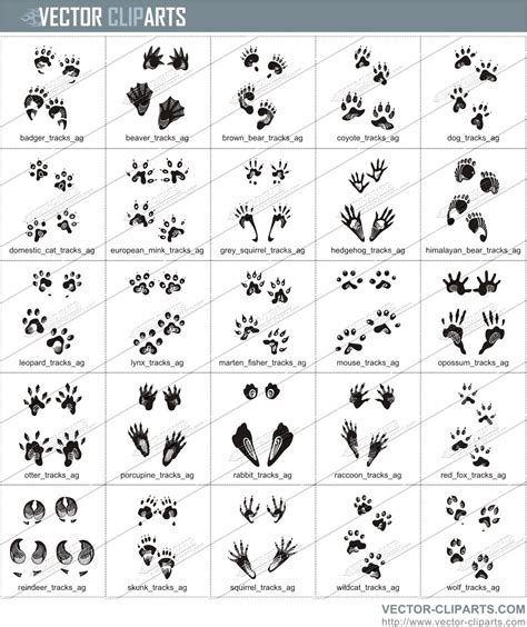 11 Animal Tracks Vector Images - Cartoon Animal Footprints, Animal Tracks Clip Art and Animal ...