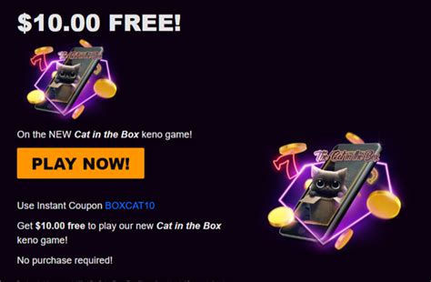 Cat in the Box: Can This Game Claw Its Way to Your Favorites? 🎰 $10 Free Chip - No Deposit Bonus ...