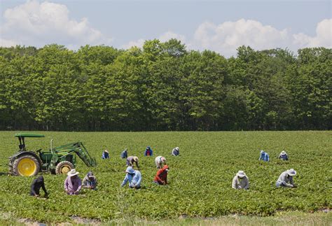 Migrant Agricultural Workers To Be Offered Vaccine At Trudeau Airport