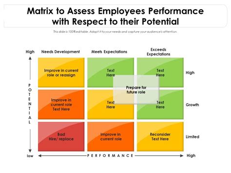 Employee Performance Matrix Template