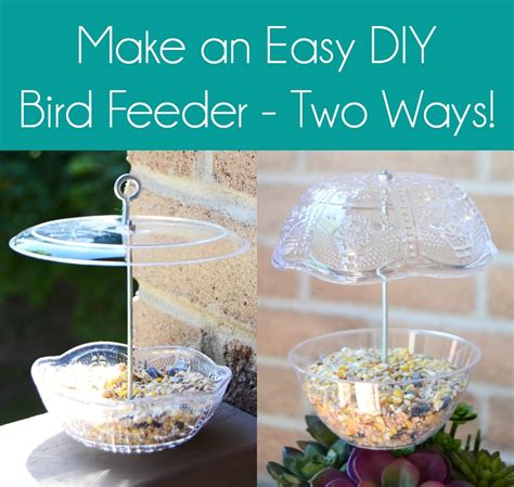 Make an EASY DIY Bird Feeder: Two Ways! - DIY Candy