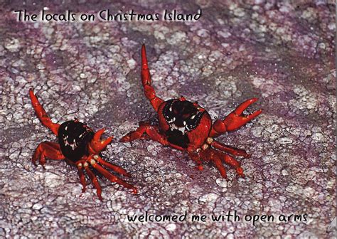 A Journey of Postcards: Christmas Island Crabs