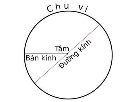 Phân biệt đường tròn và hình tròn? Cách tính đường kính hình tròn - v1000