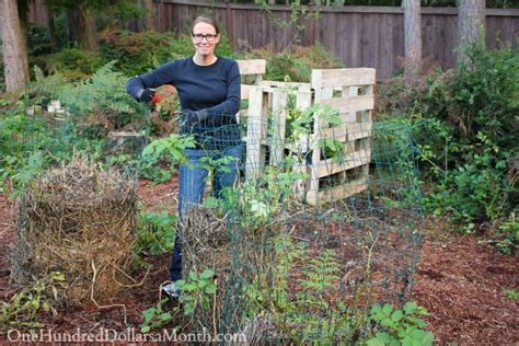 Potato Tower Update and Harvest - One Hundred Dollars a Month