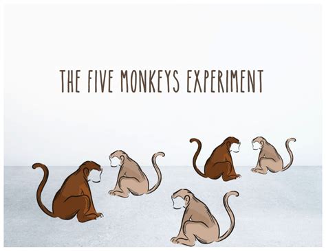 The Five Monkeys Experiment