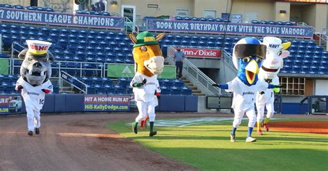 Pensacola Blue Wahoos new military mascots to honor area connection