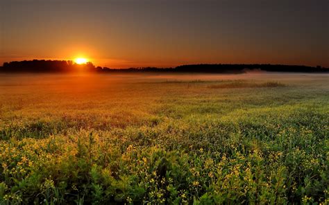 Farm sunset wallpaper | 1920x1200 | #30048