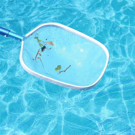 12 Essential Backyard Pool Accessories | The Family Handyman