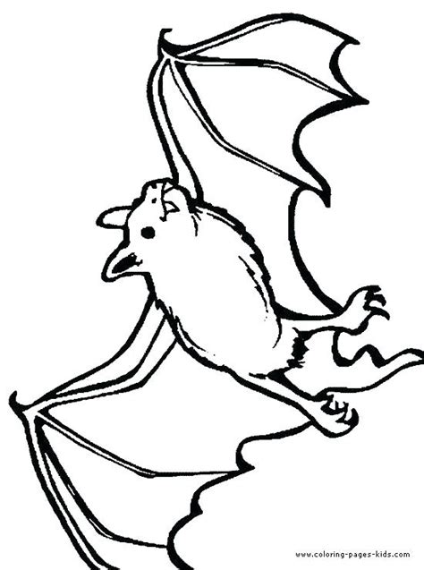 Realistic Bat Coloring Pages at GetColorings.com | Free printable ...