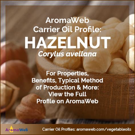 Hazelnut Carrier Oil | AromaWeb