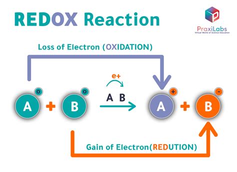 Oxidation and Reduction Reactions with examples - praxilabs