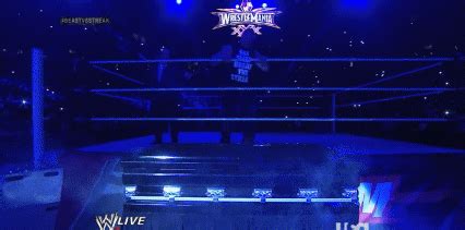 View 19 Undertaker Rising From Coffin Meme - webcapnewall