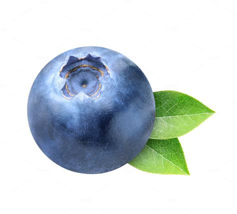 One blueberry isolated with leaves ~ Food & Drink Photos on Creative Market