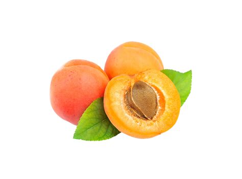 Apricot png transparent background 29228275 PNG