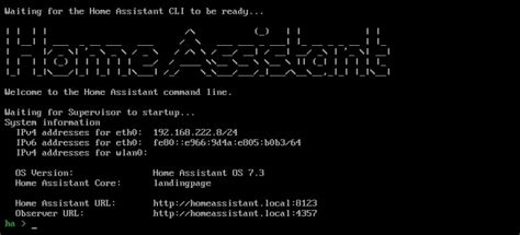 Getting Started With Home Assistant on Raspberry Pi (2 ways) – RaspberryTips