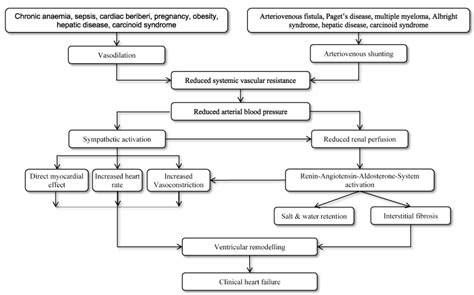 High output heart failure: A review of clinical status - epidemiology, pathophysiology ...