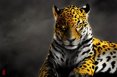 Jaguar Wallpapers - Top Free Jaguar Backgrounds - WallpaperAccess