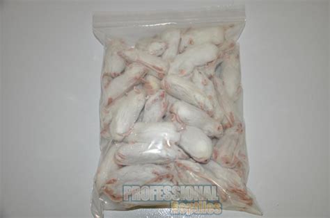 Frozen mice $0.20 to $0.63 each!