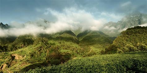 Pictures Portugal Madeira Nature mountain forest Grasslands