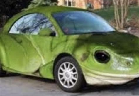 frog car