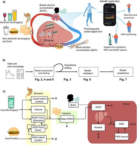 Researchers unveil digital 'alcohol twin' to predict drinking risks and guide personalized ...