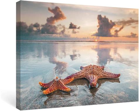 Amazon.com: Starfish Painting