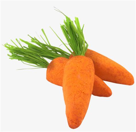 Carrot Png Image - Ibat Ibang Uri Ng Gulay - Free Transparent PNG Download - PNGkey