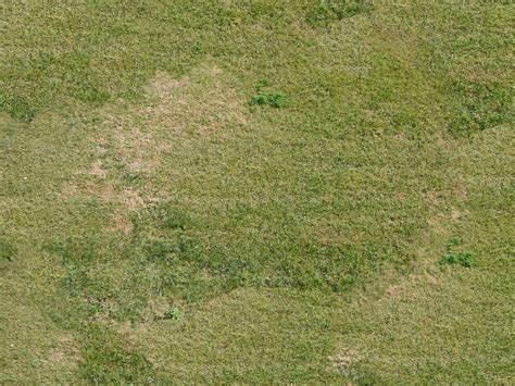 Texture - mixed grass 2 - Grass - luGher Texture Library | 질감, 잔디, 패턴