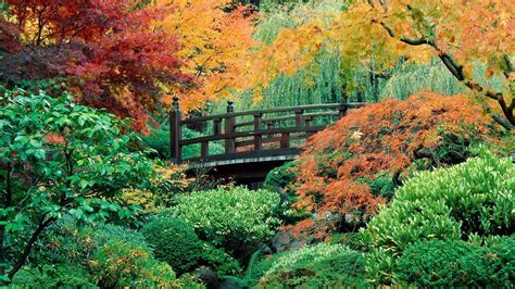 Japanese Flower Garden Wallpapers - Top Free Japanese Flower Garden Backgrounds - WallpaperAccess