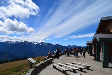 Hurricane Ridge Guided Hiking Tour | Olympic Hiking Co.