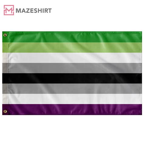 Aroace Pride Month LGBTQ+ Wall Flag - Mazeshirt