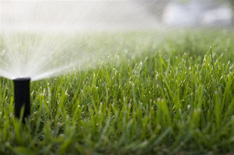 Lawn irrigation stock image. Image of grass, industry - 10686153