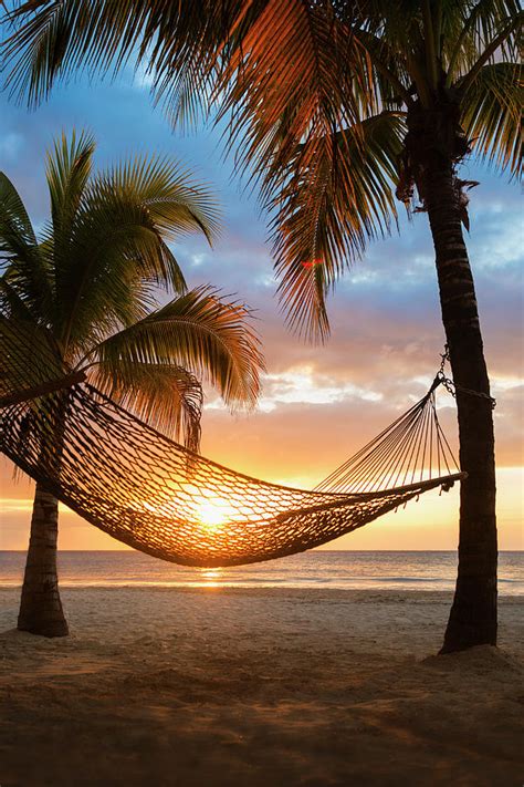 Jamaica, Hammock On Beach At Sunset by Tetra Images