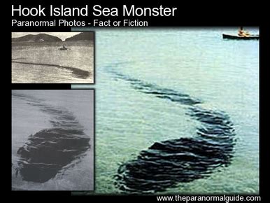 Hook Island Sea Monster - The Paranormal Guide