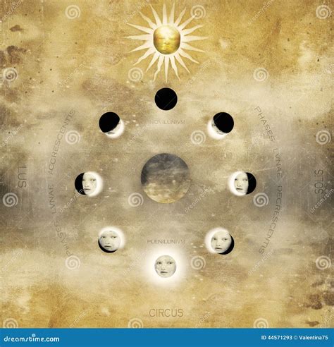 Lunar Phases in circular stock illustration. Illustration of latin - 44571293