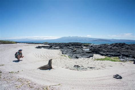 How and When Were the Galapagos Islands Discovered?