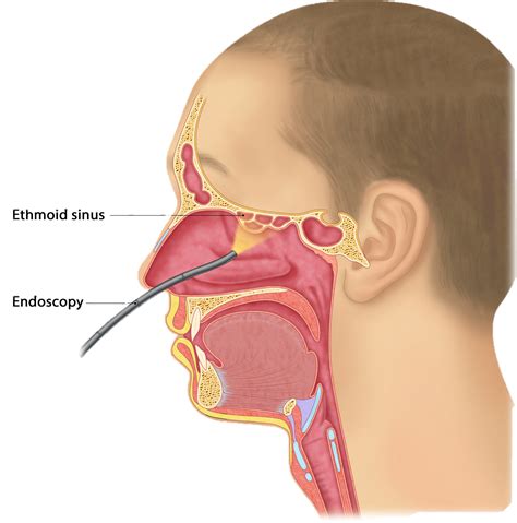 ENT Images at Prisha ENT and Pathology Clinic in bibwewadi, Pune