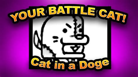 Battle Cats Ultimate - Your Battle Cat Feb 2022 'Cat in a Doge' - YouTube