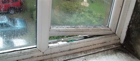 How To Stop Condensation On Inside Of Bedroom Windows | Psoriasisguru.com