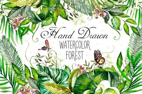 Hand Drawn watercolor Forest | How to draw hands, Background drawing, Drawing frames