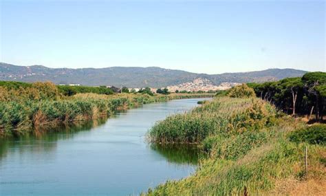 NATURAL SPACES OF THE DELTA DEL LLOBREGAT. - RVD Media Group