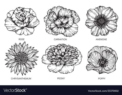 Top 75+ carnation tattoo black and white super hot - in.cdgdbentre